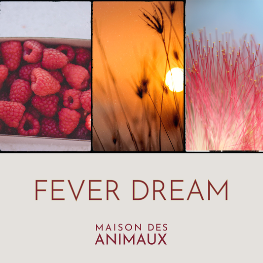 FEVER DREAM