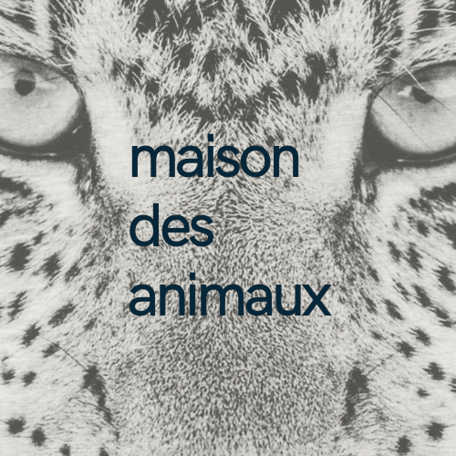 Maison des Animaux Fragrances logo