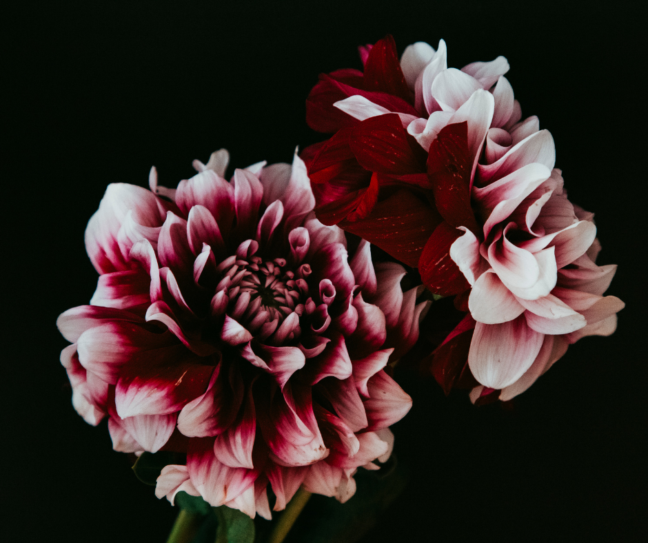 Flower Power