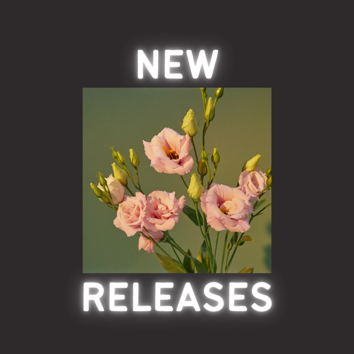 New Releases