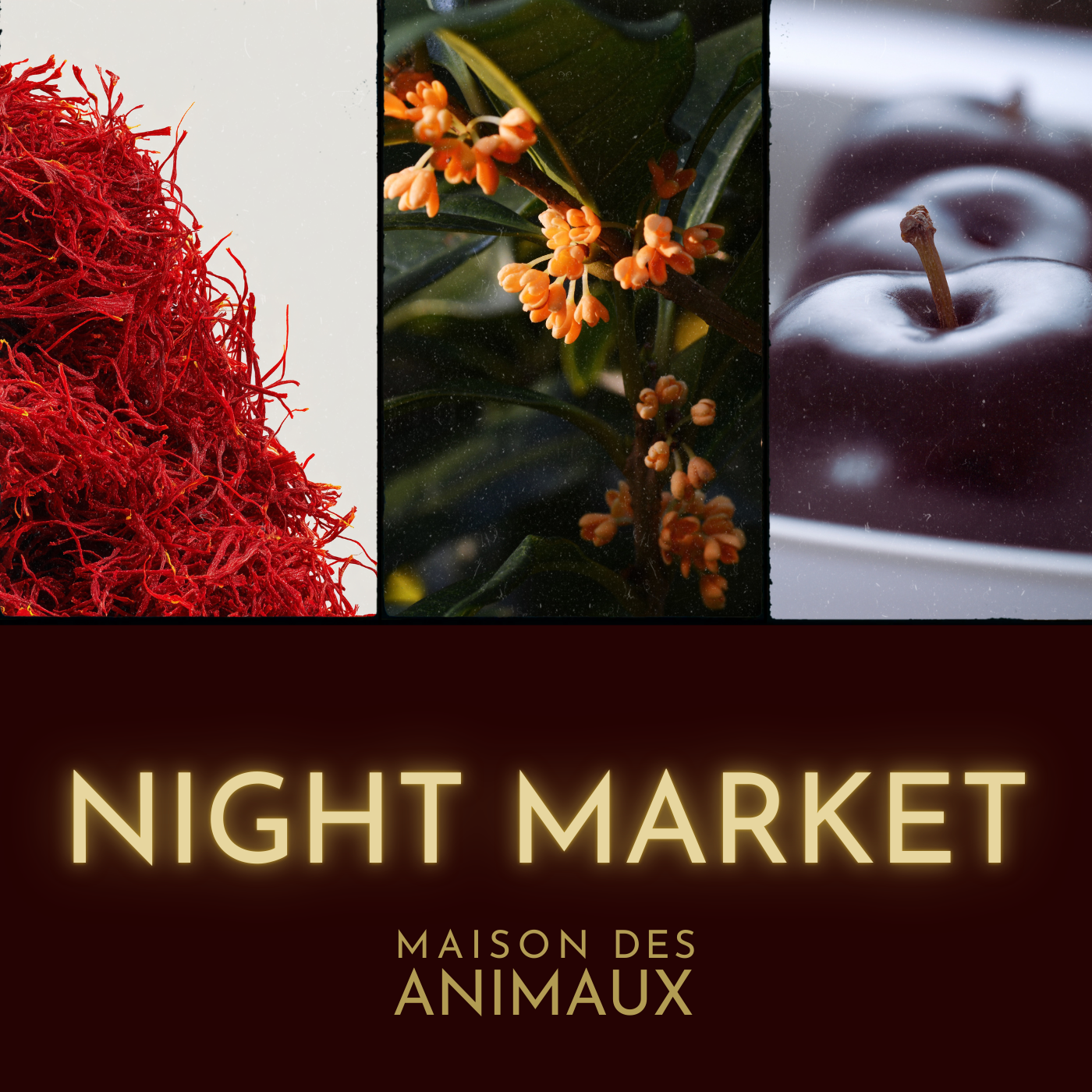 NIGHT MARKET