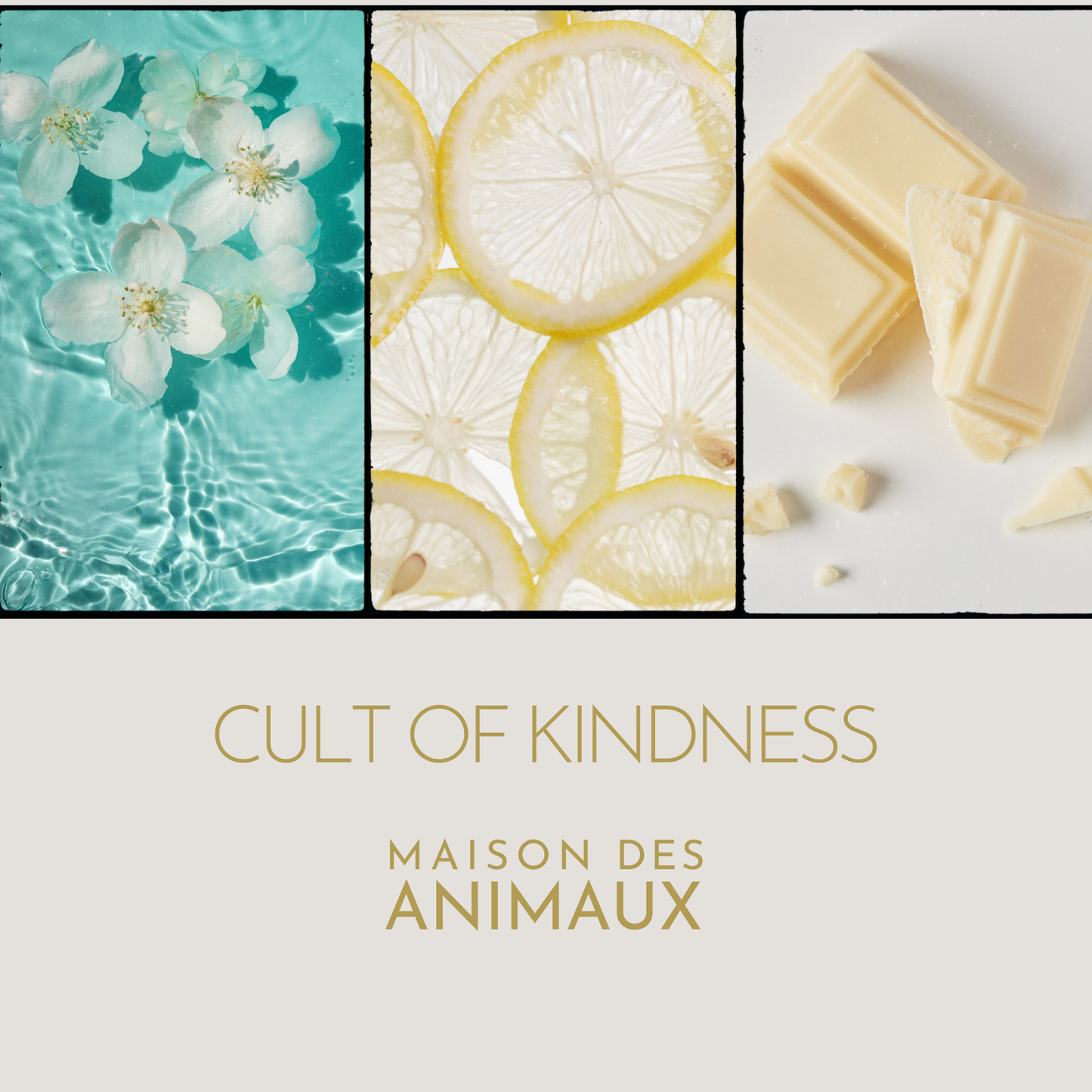 Cult of Kindness (coming soon)
