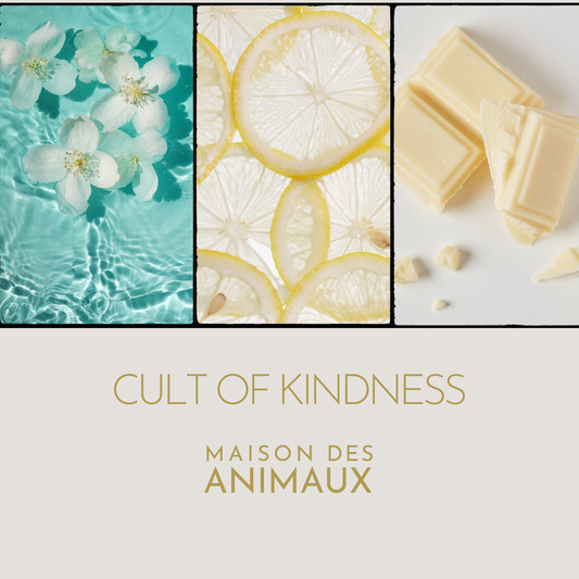 CULT OF KINDNESS