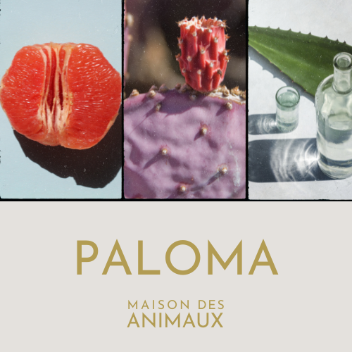 PALOMA