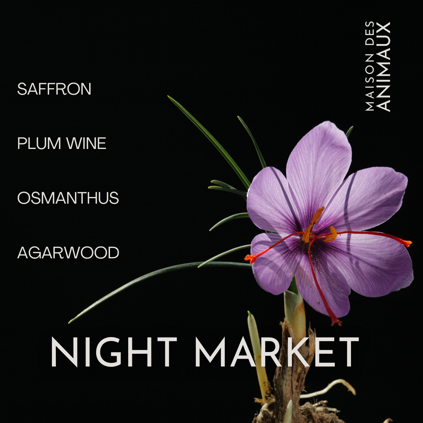 NIGHT MARKET