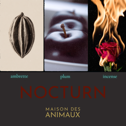 NOCTURN