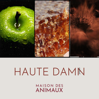 HAUTE DAMN