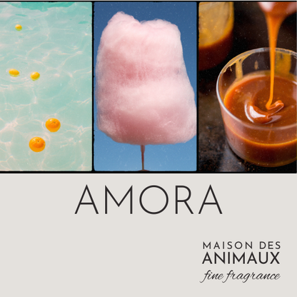 AMORA