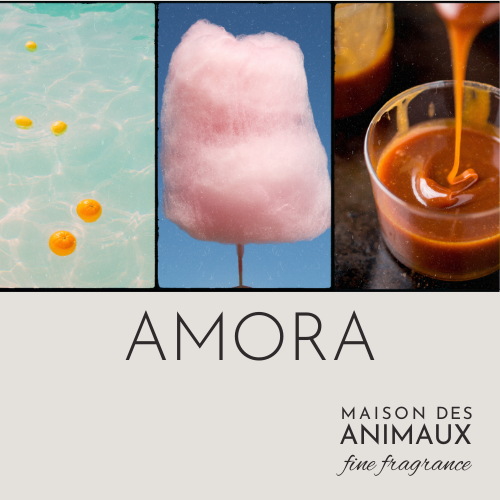 AMORA